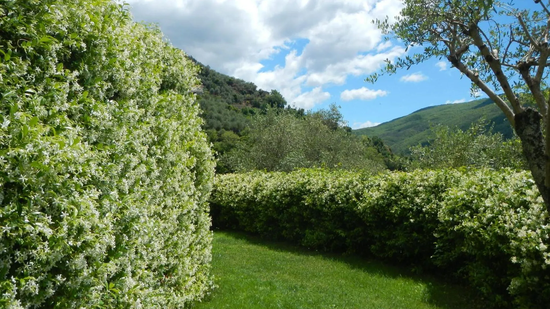 Villa Paggi Country House Carasco Frühstückspension